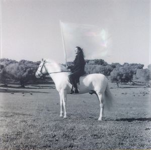 Marina Abramovic - The Hero