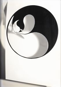 Luca Trevisani - Yin+Yang = melange