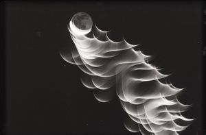 Edoardo Romagnoli - L'ultima luna 4