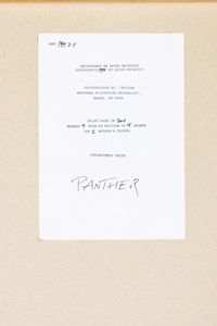 Guido Mocafico : Panther<BR>fotografata al Museum National d'Histoire Naturelle, Paris  - Asta Fotografia - Associazione Nazionale - Case d'Asta italiane