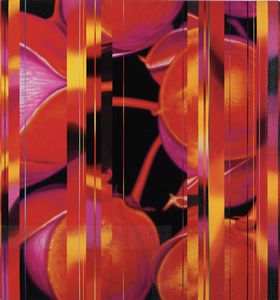 DANY VESCOVI - Senza titolo