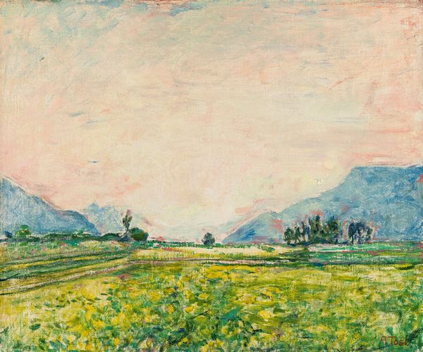 Arturo Tosi : Paesaggio  - Asta Arte Moderna e Contemporanea - Associazione Nazionale - Case d'Asta italiane