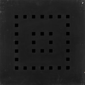 Vanna Nicolotti - Struttura