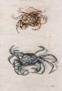 Carlo Guarienti - Senza titolo