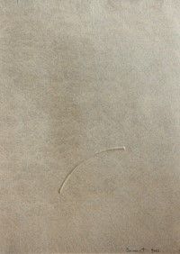 Turi Simeti : Senza titolo  - Asta Asta a Tempo | Solo Online - Associazione Nazionale - Case d'Asta italiane