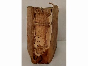 Cicero Marco Tullio - Sententiarum illustrium apophthegmatum