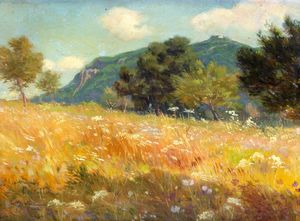 Carlo Montani - Prato estivo