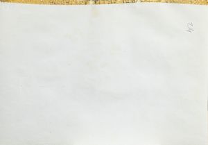 Giovan Battista Crema : Alberi ed agavi  - Asta Arte Figurativa tra XIX e XX Secolo - Associazione Nazionale - Case d'Asta italiane