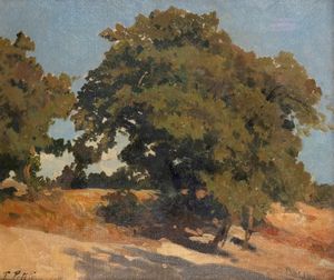 FILIBERTO PETITI - Albero nel sole