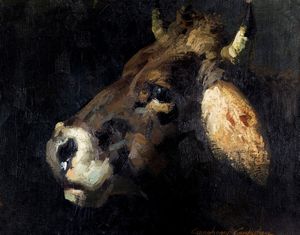 Gianfranco Campestrini - Testa di mucca