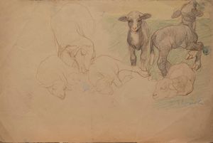 Giuseppe Rivaroli - Studio di agnellini