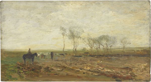 Beppe Ciardi : Campagna romana  - Asta PARADE II - DIPINTI E SCULTURE DEL XIX E XX SECOLO - Associazione Nazionale - Case d'Asta italiane