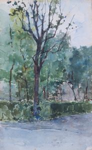 Ignoto del XX secolo - Tre disegni a soggetto Bosco