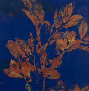 Massimo Barzagli - Impressione di alloro