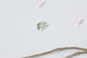 Due piatti<BR>Laveno, societ� ceramica Italiana, prima met� del XX secolo  - Asta Ceramiche - Associazione Nazionale - Case d'Asta italiane