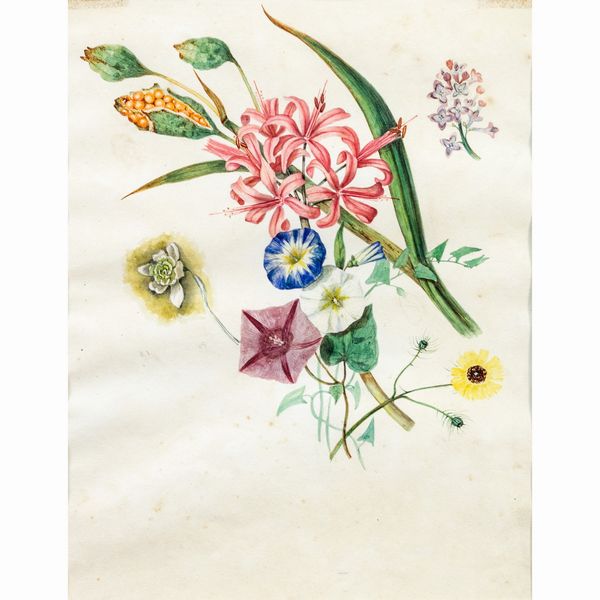 Scuola italiana  - Asta Asta a Tempo Web Only - Associazione Nazionale - Case d'Asta italiane