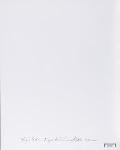 LUCA MARIA PATELLA : ...Mani malini di zucchero, III dal volume Montefolle  - Asta Fotografia - Associazione Nazionale - Case d'Asta italiane