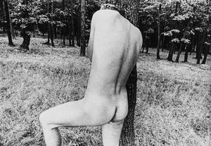 Clifford Seidling - Senza titolo (Nudo)