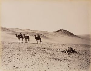 Félix Bonfils - Scéne du desert, abanden d'un chameu mort ; Tropeau du Buffles se baignat dans le Nil