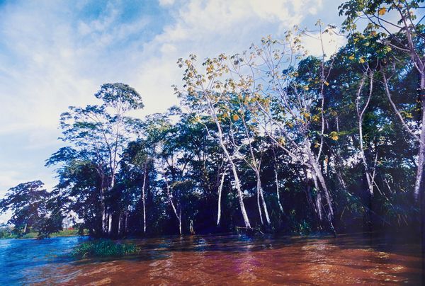 Arthur  Omar : Largo de Jandubar  - Asta Asta Estiva di Arte Moderna e Contemporanea - Associazione Nazionale - Case d'Asta italiane