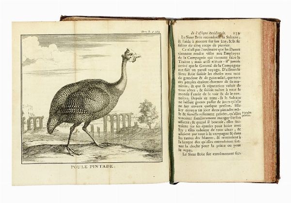 JEAN BAPTISTE LABAT : Nouvelle relation de l'Afrique occidentale: contenant une description exacte du Senegal & des Pais situes entre le Cap-Blanc... Tome premier (-V).  - Asta Libri a stampa dal XV al XIX secolo [Parte II] - Associazione Nazionale - Case d'Asta italiane