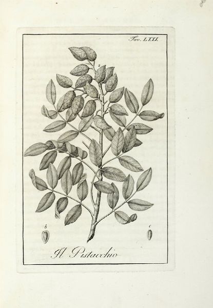 LUIGI CASTIGLIONI : Storia delle piante forastiere le piu importanti nell'uso medico, od economico... Tomo I (-IV).  - Asta Libri a stampa dal XV al XIX secolo [Parte II] - Associazione Nazionale - Case d'Asta italiane