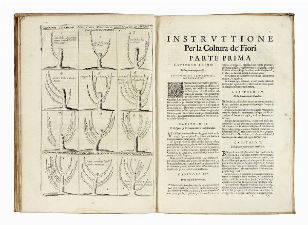 RENE DAHURON : Il giardiniero francese, overo Trattato del tagliare gl'alberi da frutto con la maniera di ben allevarli [...] Aggiunto un Compendio delle regole, e massime pi necessarie, per l'esercitio di quest'arte...  - Asta Libri a stampa dal XV al XIX secolo [Parte II] - Associazione Nazionale - Case d'Asta italiane