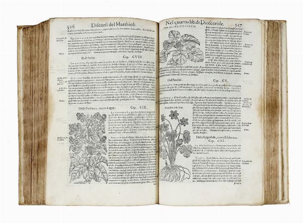 PIETRO ANDREA MATTIOLI : I discorsi [...] ne i sei libri della materia medicinale di Pedacio Dioscoride Anazarbeo. Con i veri ritratti delle piante & de gli animali, nuovamente aggiuntovi dal medesimo.  - Asta Libri a stampa dal XV al XIX secolo [Parte II] - Associazione Nazionale - Case d'Asta italiane
