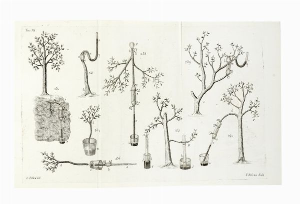 CIRO POLLINI : Elementi di botanica [...] con molte tavole in rame disegnate dall'autore. Volume I (-II).  - Asta Libri a stampa dal XV al XIX secolo [Parte II] - Associazione Nazionale - Case d'Asta italiane