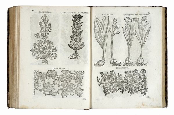 JACOB REINBOLD SPIELMANN : Pharmacopoea generalis... Tomus primus (-tertius).  - Asta Libri a stampa dal XV al XIX secolo [Parte II] - Associazione Nazionale - Case d'Asta italiane