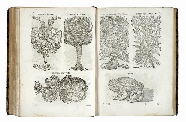 JACOB REINBOLD SPIELMANN : Pharmacopoea generalis... Tomus primus (-tertius).  - Asta Libri a stampa dal XV al XIX secolo [Parte II] - Associazione Nazionale - Case d'Asta italiane