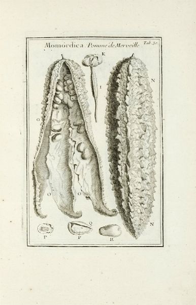 JOSEPH TOURNEFORT (DE) PITTON : Institutiones rei herbariae. Editio tertia. Appendicibus aucta ab Antonio De Jussieu [...] Tomus primo [-tertio].  - Asta Libri a stampa dal XV al XIX secolo [Parte II] - Associazione Nazionale - Case d'Asta italiane