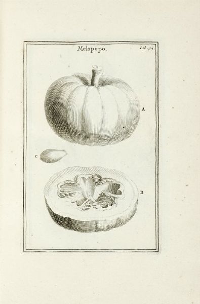 JOSEPH TOURNEFORT (DE) PITTON : Institutiones rei herbariae. Editio tertia. Appendicibus aucta ab Antonio De Jussieu [...] Tomus primo [-tertio].  - Asta Libri a stampa dal XV al XIX secolo [Parte II] - Associazione Nazionale - Case d'Asta italiane