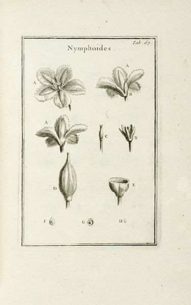 JOSEPH TOURNEFORT (DE) PITTON : Institutiones rei herbariae. Editio tertia. Appendicibus aucta ab Antonio De Jussieu [...] Tomus primo [-tertio].  - Asta Libri a stampa dal XV al XIX secolo [Parte II] - Associazione Nazionale - Case d'Asta italiane