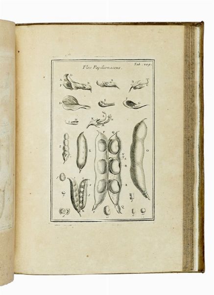 JOSEPH TOURNEFORT (DE) PITTON : Institutiones rei herbariae. Editio tertia. Appendicibus aucta ab Antonio De Jussieu [...] Tomus primo [-tertio].  - Asta Libri a stampa dal XV al XIX secolo [Parte II] - Associazione Nazionale - Case d'Asta italiane