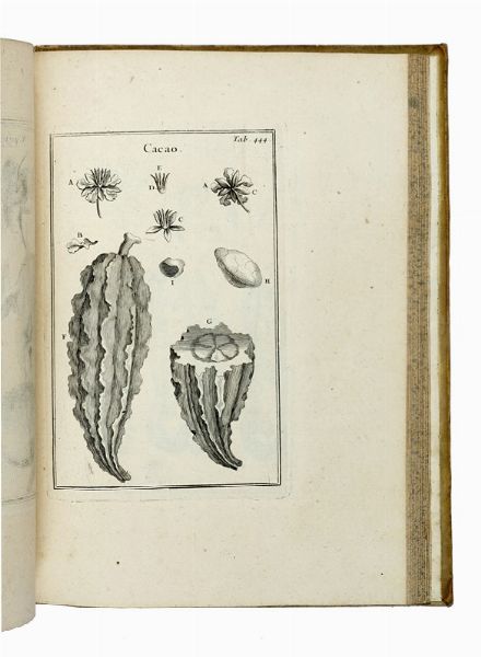 JOSEPH TOURNEFORT (DE) PITTON : Institutiones rei herbariae. Editio tertia. Appendicibus aucta ab Antonio De Jussieu [...] Tomus primo [-tertio].  - Asta Libri a stampa dal XV al XIX secolo [Parte II] - Associazione Nazionale - Case d'Asta italiane