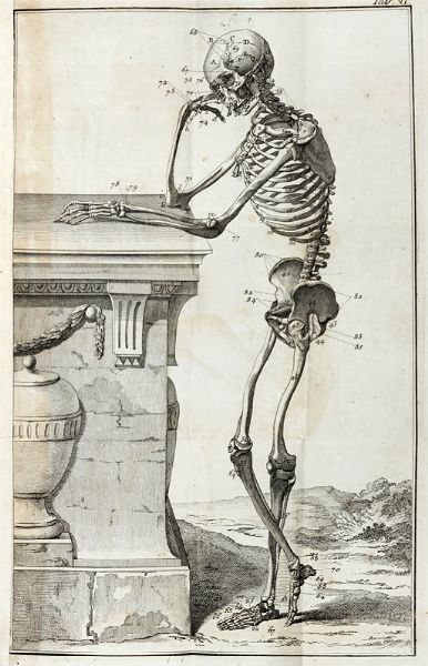 GIUSEPPE GAZOLA : Il mondo inganato da falsi medici e disingannato...  - Asta Libri a stampa dal XV al XIX secolo [Parte II] - Associazione Nazionale - Case d'Asta italiane