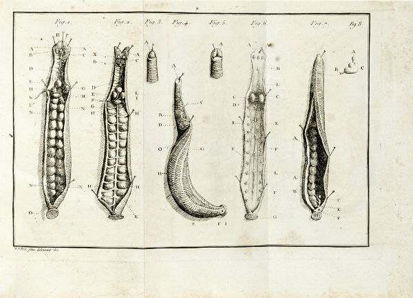 LOUIS VITET : Trait de la sangsue mdicinale.  - Asta Libri a stampa dal XV al XIX secolo [Parte II] - Associazione Nazionale - Case d'Asta italiane