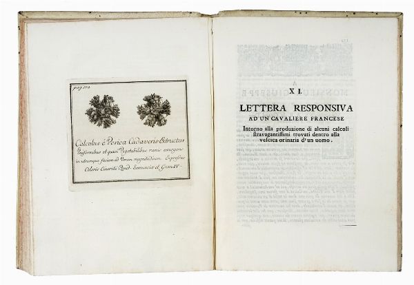 GIUSEPPE DEL PAPA : Trattati Varj fatti in diverse occasioni...  - Asta Libri a stampa dal XV al XIX secolo [Parte II] - Associazione Nazionale - Case d'Asta italiane