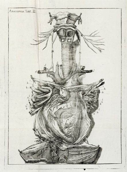 Giovanni Maria Della Torre : Scienza della natura generale [...] Parte prima (-seconda).  - Asta Libri a stampa dal XV al XIX secolo [Parte II] - Associazione Nazionale - Case d'Asta italiane