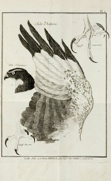 JEAN HUBER : Observations sur le vol des oiseaux de proie.  - Asta Libri a stampa dal XV al XIX secolo [Parte II] - Associazione Nazionale - Case d'Asta italiane