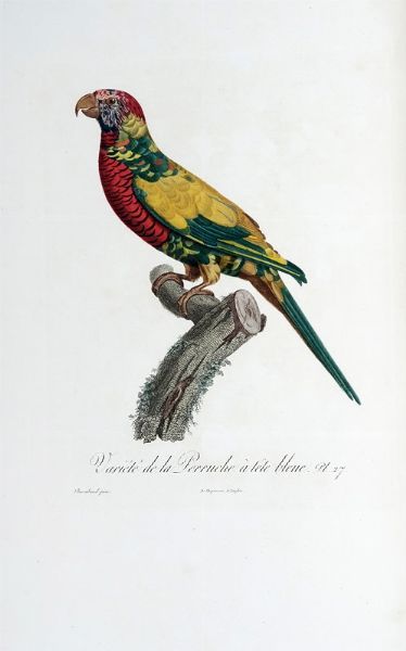 FRANOIS LEVAILLANT : Histoire naturelle des perroquets. Tome premier (-second).  - Asta Libri a stampa dal XV al XIX secolo [Parte II] - Associazione Nazionale - Case d'Asta italiane