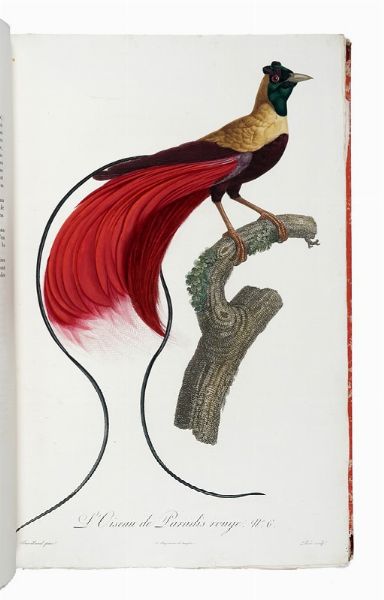 FRANOIS LEVAILLANT : Histoire naturelle des oiseaux de paradis et des rolliers, suivie de celle des Toucans et des Barbus. Tome premier (-second).  - Asta Libri a stampa dal XV al XIX secolo [Parte II] - Associazione Nazionale - Case d'Asta italiane