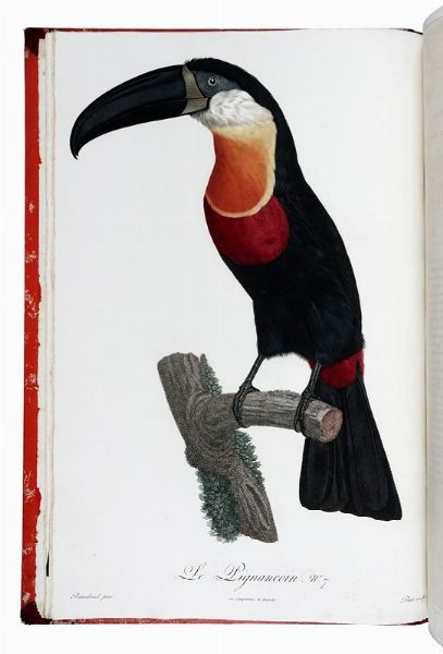 FRANOIS LEVAILLANT : Histoire naturelle des oiseaux de paradis et des rolliers, suivie de celle des Toucans et des Barbus. Tome premier (-second).  - Asta Libri a stampa dal XV al XIX secolo [Parte II] - Associazione Nazionale - Case d'Asta italiane