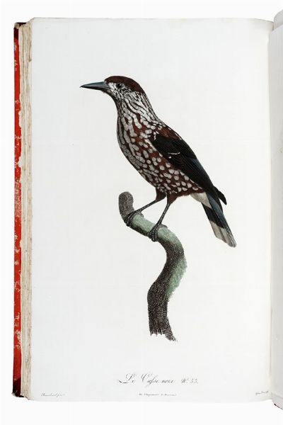 FRANOIS LEVAILLANT : Histoire naturelle des oiseaux de paradis et des rolliers, suivie de celle des Toucans et des Barbus. Tome premier (-second).  - Asta Libri a stampa dal XV al XIX secolo [Parte II] - Associazione Nazionale - Case d'Asta italiane