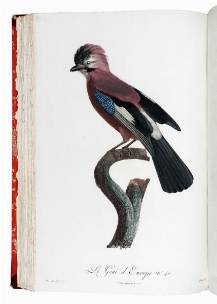 FRANOIS LEVAILLANT : Histoire naturelle des oiseaux de paradis et des rolliers, suivie de celle des Toucans et des Barbus. Tome premier (-second).  - Asta Libri a stampa dal XV al XIX secolo [Parte II] - Associazione Nazionale - Case d'Asta italiane