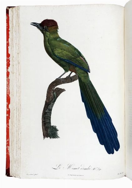 FRANOIS LEVAILLANT : Histoire naturelle des oiseaux de paradis et des rolliers, suivie de celle des Toucans et des Barbus. Tome premier (-second).  - Asta Libri a stampa dal XV al XIX secolo [Parte II] - Associazione Nazionale - Case d'Asta italiane