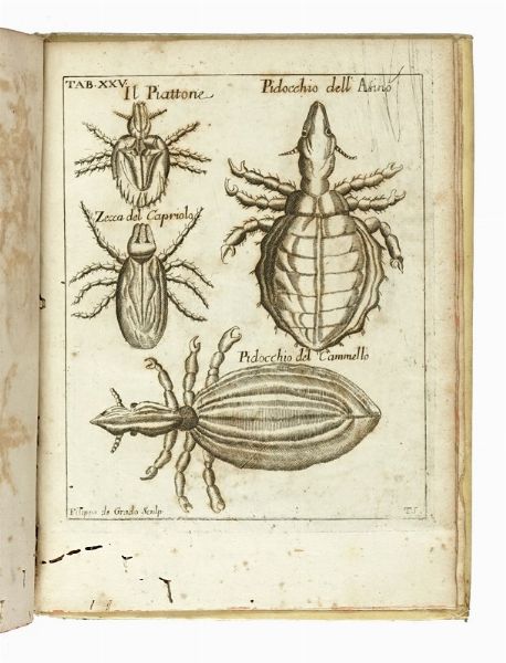 FRANCESCO REDI : Opere [...] con somma diligenza insieme raccolte, accresciute, e migliorate. Tomo primo (-settimo)  - Asta Libri a stampa dal XV al XIX secolo [Parte II] - Associazione Nazionale - Case d'Asta italiane