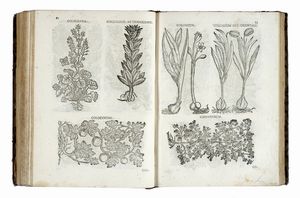 JACOB REINBOLD SPIELMANN : Pharmacopoea generalis... Tomus primus (-tertius).  - Asta Libri a stampa dal XV al XIX secolo [Parte II] - Associazione Nazionale - Case d'Asta italiane