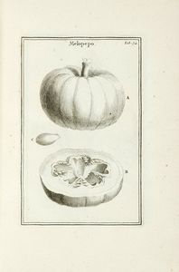 JOSEPH TOURNEFORT (DE) PITTON : Institutiones rei herbariae. Editio tertia. Appendicibus aucta ab Antonio De Jussieu [...] Tomus primo [-tertio].  - Asta Libri a stampa dal XV al XIX secolo [Parte II] - Associazione Nazionale - Case d'Asta italiane